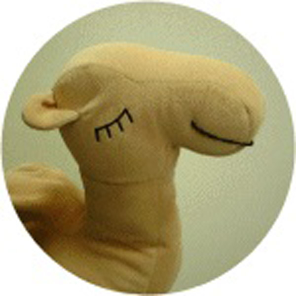 ブ　　　　　ロ　　　　　グ画像